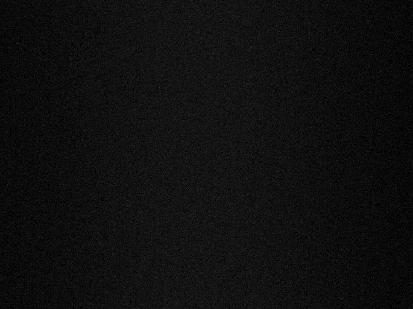 NOISE
